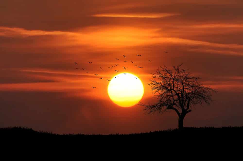 Mehr über den Artikel erfahren Olusheno lässt die Sonne im Dunkeln scheinen