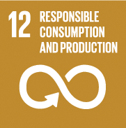 SDGs-Goal 12 responsible consumption production