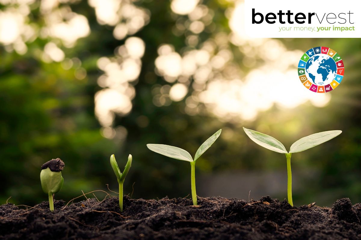 Mehr über den Artikel erfahren Neu: Donation Crowdfunding bei bettervest – Spenden für geprüfte gemeinnützige Organisationen